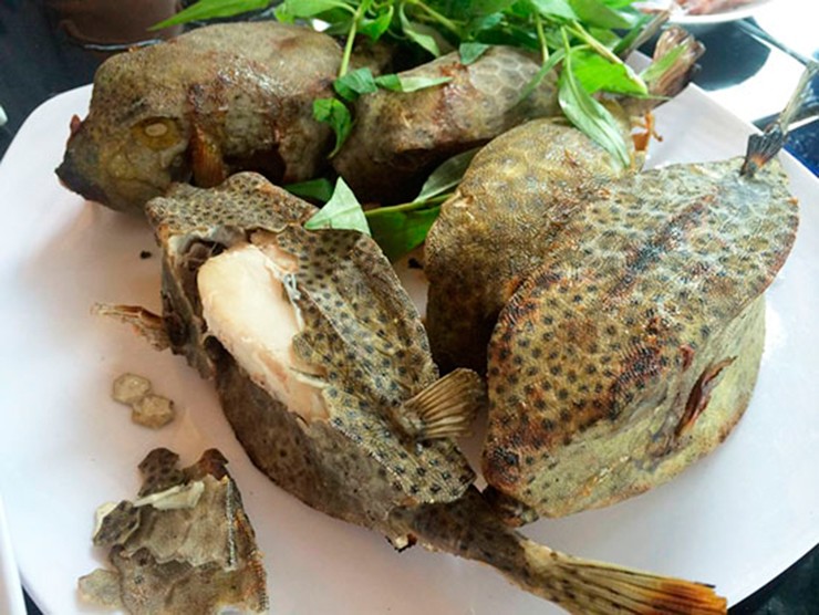 Ở vùng biển Việt Nam, cá thiết giáp (hay còn gọi là cá bò hòm) là một trong những cái tên gây tò mò bậc nhất bởi vẻ ngoài kỳ dị, hiếm gặp nhưng thịt ngon nổi tiếng.
