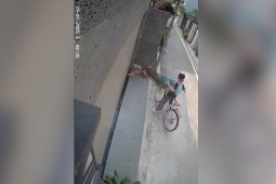 Clip: Bé gái mất lái xe đạp,  hạ gục  chậu cây cảnh trước cửa nhà dân