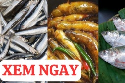 Tin tức sức khỏe - 3 loại cá “nhỏ mà có võ” cực giàu canxi, tốt cho xương khớp 