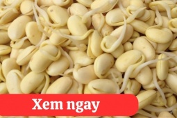 Tin tức sức khỏe - “Tái sinh” khớp gối với 2 món ăn được người xưa ví là “thần dược” phục hồi xương khớp 