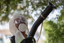 Bệnh Chikungunya có ở hơn 100 nước: Trung Quốc hứng đợt bùng phát kỷ lục, Mỹ cảnh báo