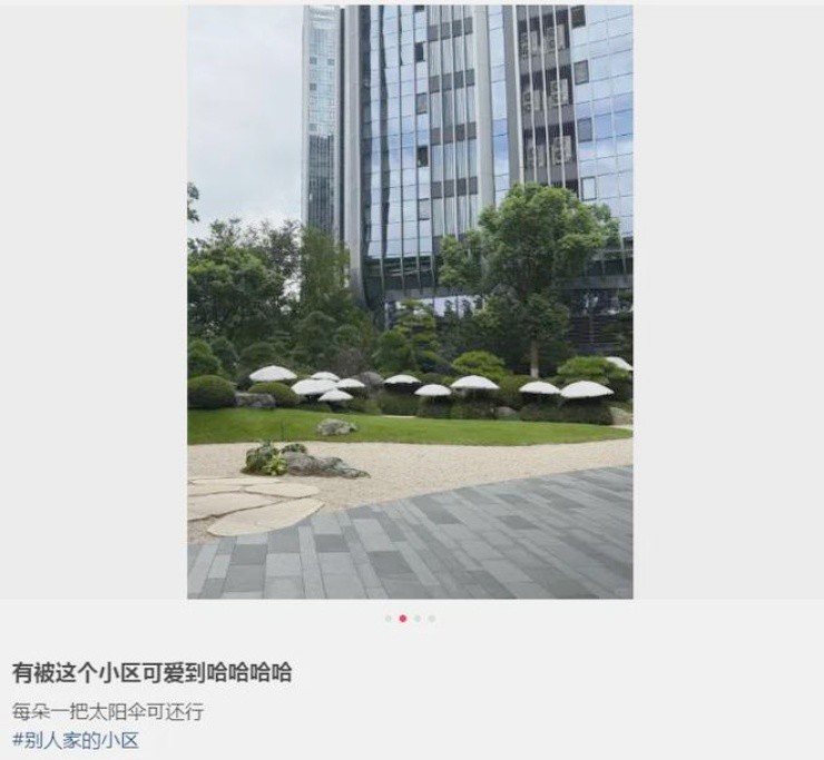 Khu chung cư cao cấp bỏ “núi tiền” thuê ô che nắng cho cây - 1