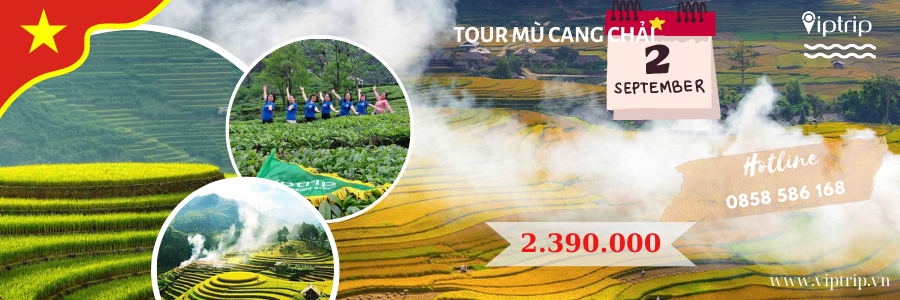 Sống ảo cùng mùa lúa chín Mù Cang Chải