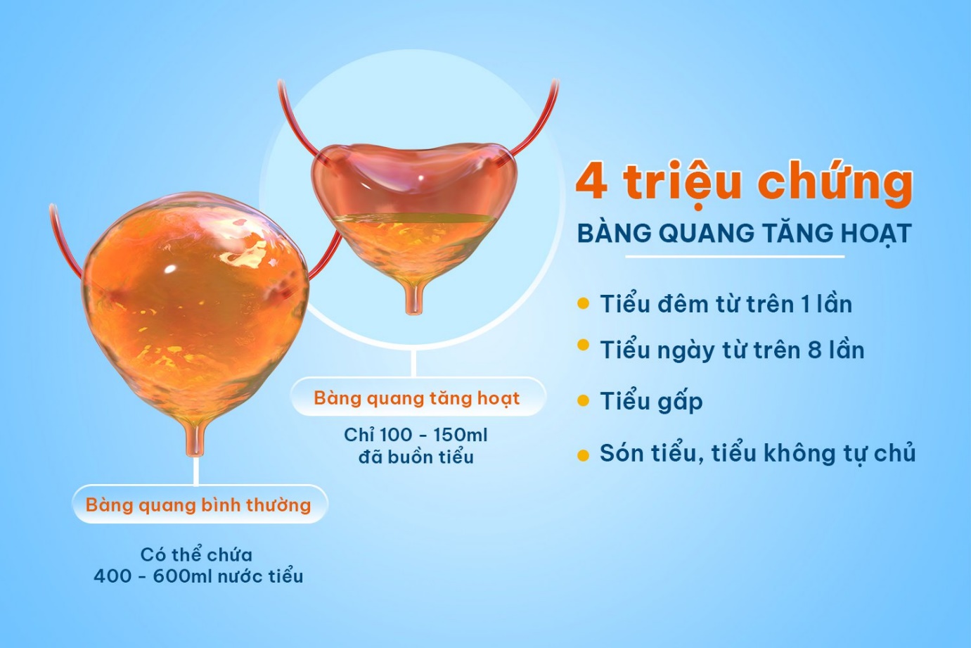 2 thứ này “tàn phá” bàng quang khủng khiếp, khiến bạn đi tiểu “không phanh” suốt cả ngày - 3