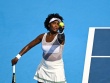 Nóng rực tennis Cincinnati: 