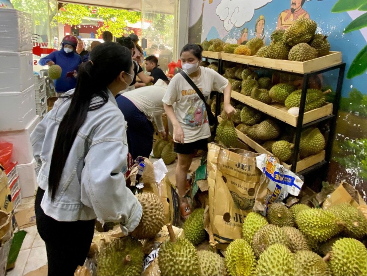 Khách từ khắp nơi đổ về "săn" sầu riêng 35.000 đồng.