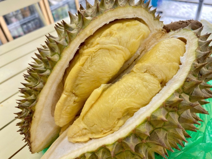 Sầu riêng Ri 6 loại 1 có 5 hộc múi, múi to, vị ngọt thơm và rất ngậy.