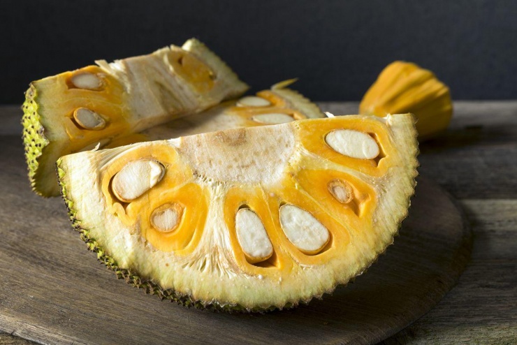 Bất ngờ bộ phận của quả mít người Nhật 'quý như vàng', giúp hỗ trợ giảm đường huyết hiệu quả ở người tiền tiểu đường - 2