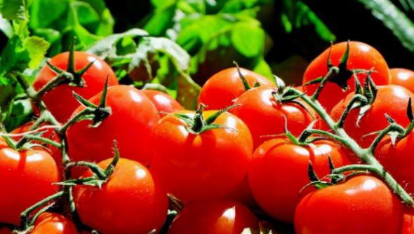 Loại quả được đánh giá "tốt nhất thế giới", ở chợ Việt vừa rẻ vừa nhiều - 3