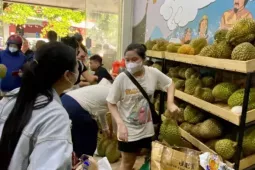 Thị trường - Tiêu dùng - Sầu riêng giá rẻ 'đổ bộ' Hà Nội, 1 ngày bán gần 3 tấn