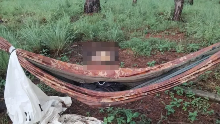 Hiện trường phát hiện bộ xương người ở đồi thông. Ảnh: ND