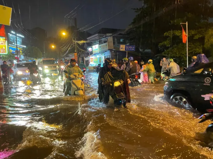 Đường Tô Ngọc Vân ngập nặng.