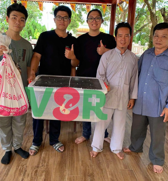 Xôn xao clip một TikToker phóng sinh bầy rắn hổ mang chúa mới nở - 2