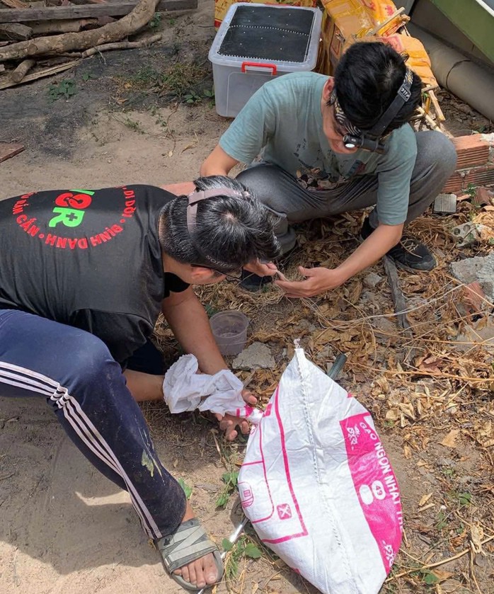 Giải cứu rắn ở nhà người dân