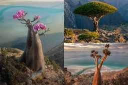 Du lịch - Khám phá hòn đảo kỳ bí nhất thế giới