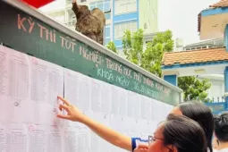Chứng chỉ IELTS thành 'phao cứu sinh'