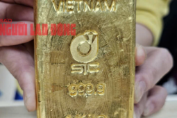 Giá vàng hôm nay 10-8: Liên tục lập đỉnh, dự báo còn tăng tiếp