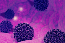 Một loại virus vừa được phát hiện có thể gây ung thư da