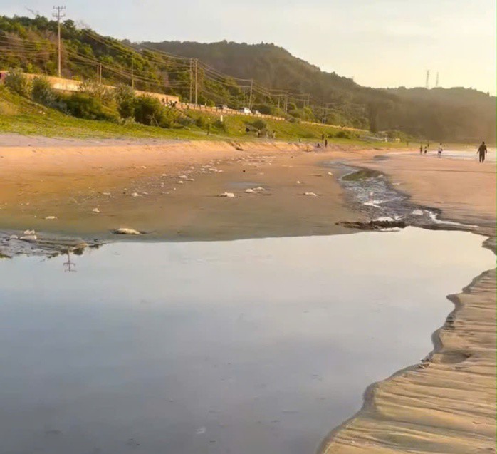 Dòng nước đen ngòm chảy ra biển Mũi Né. Ảnh: NDCC