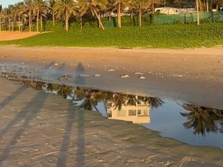 Sốc với hình ảnh dòng nước đen ngòm chảy ra biển Mũi Né