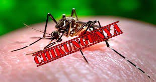 Bệnh Chikungunya có triệu chứng đặc trưng: sốt khởi phát đột ngột trên 38,5 độ C, kèm theo đau khớp/viêm khớp nặng. Các triệu chứng phổ biến khác bao gồm cứng khớp, viêm khớp, đau đầu, mệt mỏi và phát ban. Đau khớp thường gây suy nhược và thường kéo dài vài ngày hoặc lâu hơn.