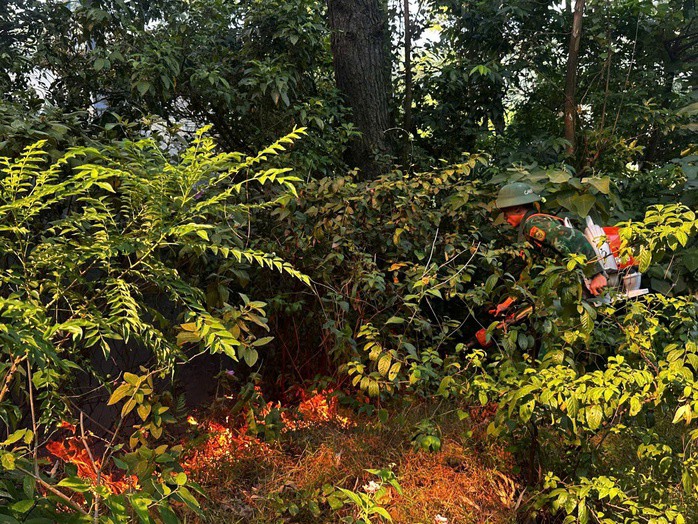 Nghi đốt ong lấy mật, cháy dữ dội 3.000 m² rừng phòng hộ Đèo Ngang - 3