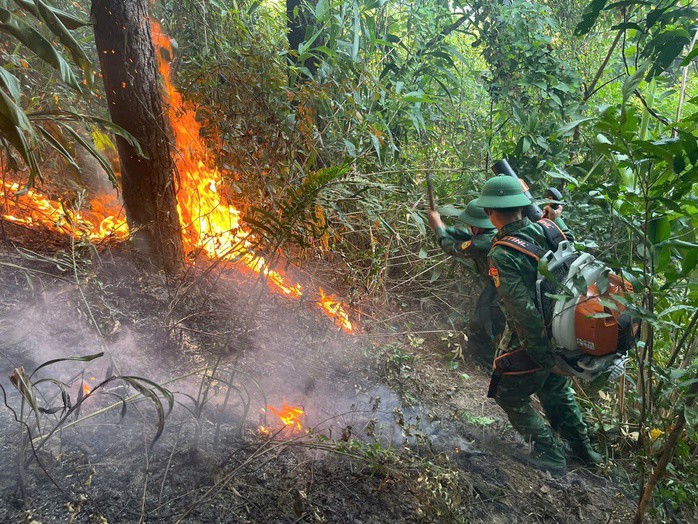 Vụ cháy rừng bùng phát ở khu vực Đèo Ngang