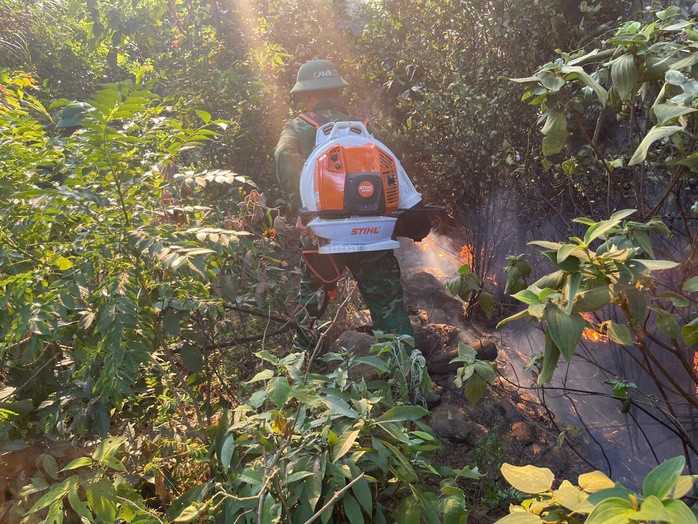 Nghi đốt ong lấy mật, cháy dữ dội 3.000 m² rừng phòng hộ Đèo Ngang - 2