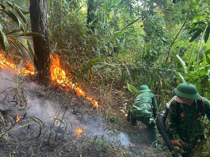 Nghi đốt ong lấy mật, cháy dữ dội 3.000 m² rừng phòng hộ Đèo Ngang - 6