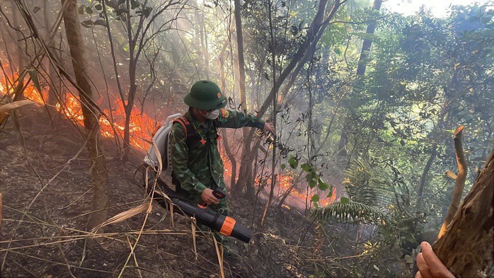 Nghi đốt ong lấy mật, cháy dữ dội 3.000 m² rừng phòng hộ Đèo Ngang - 7
