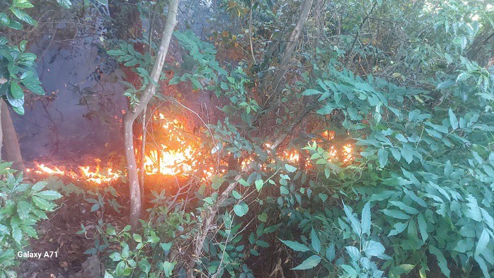 Nghi đốt ong lấy mật, cháy dữ dội 3.000 m² rừng phòng hộ Đèo Ngang - 5