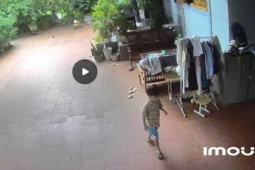 Chơi một mình tại sân nhà, bé trai 5 tuổi mất tích bí ẩn