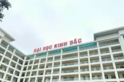 Bê bối ở Trường Đại học Kinh Bắc: Dừng đào tạo, thí sinh đi về đâu?