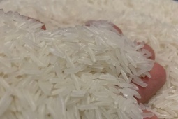 Giá gạo giảm sâu, doanh nghiệp Việt Nam chi 1 tỷ USD nhập khẩu về