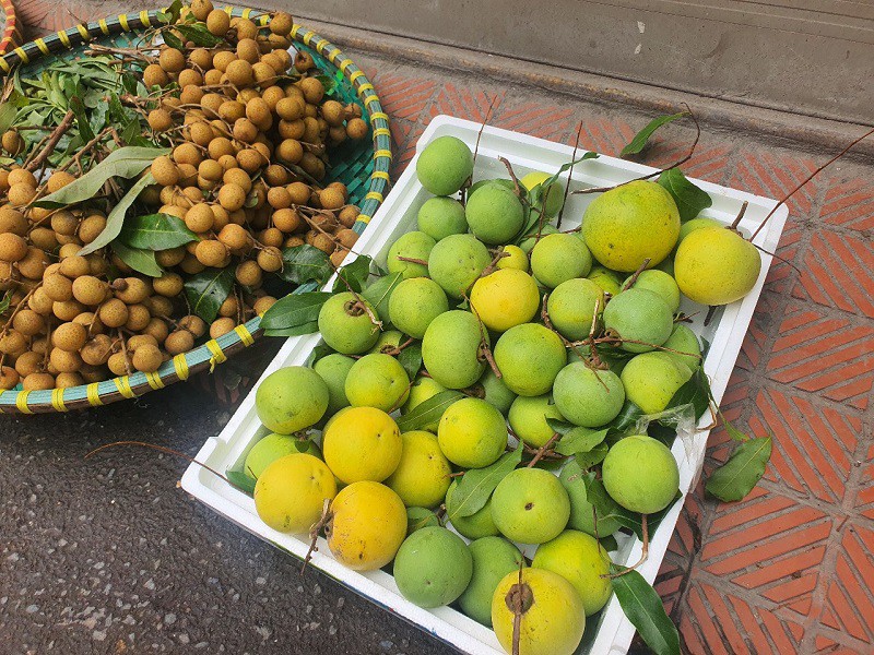 Quả thị được bày bán ở một số hàng hoa quả tại chợ truyền thống hoặc các chợ online.