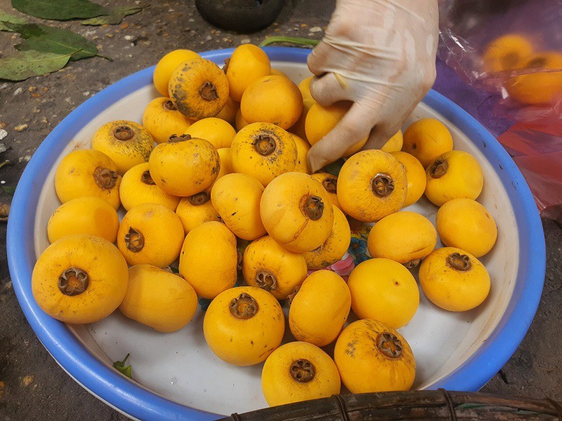 Thị sáp được nhiều người thích vì quả nhỏ, tròn, đẹp và rất thơm.