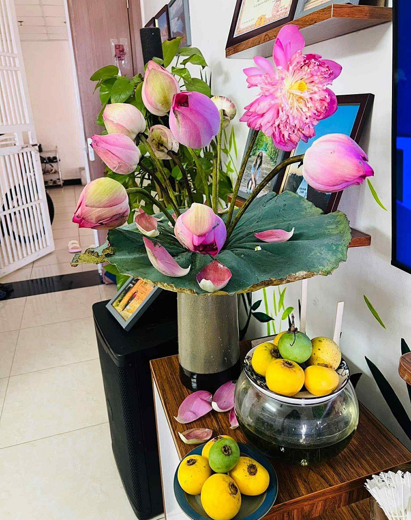 Những quả thị thơm và những bông sen hồng đặc trưng của mùa thu Hà Nội. (Ảnh: Linh Kem)