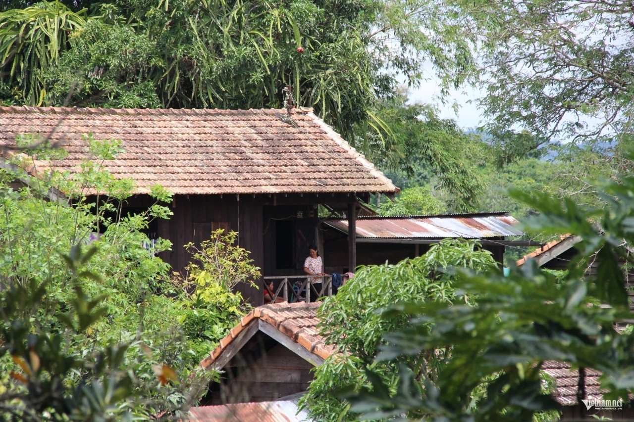 Nơi từng nghe tên đã sợ ở Lâm Đồng, giờ là &#39;đồi nhân ái&#39; xinh đẹp, trong lành - 10