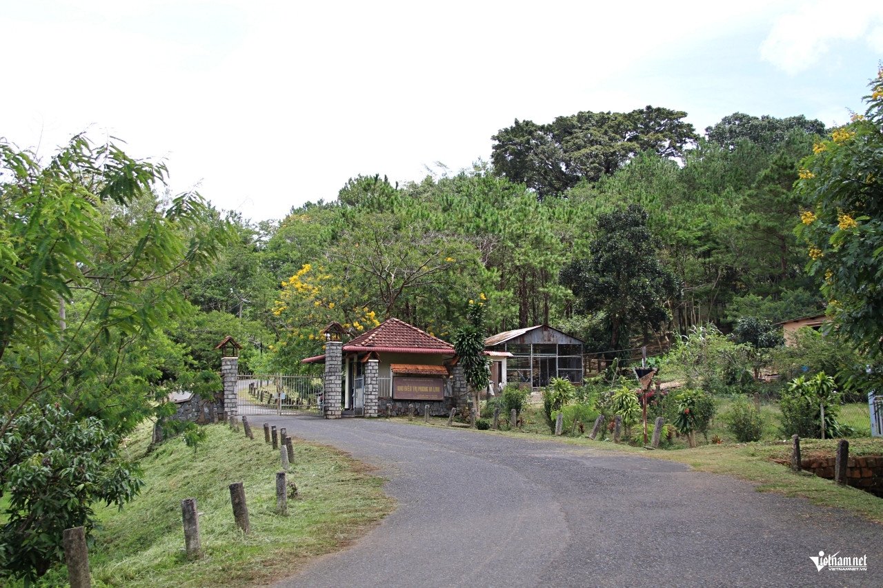 Nơi từng nghe tên đã sợ ở Lâm Đồng, giờ là &#39;đồi nhân ái&#39; xinh đẹp, trong lành - 3