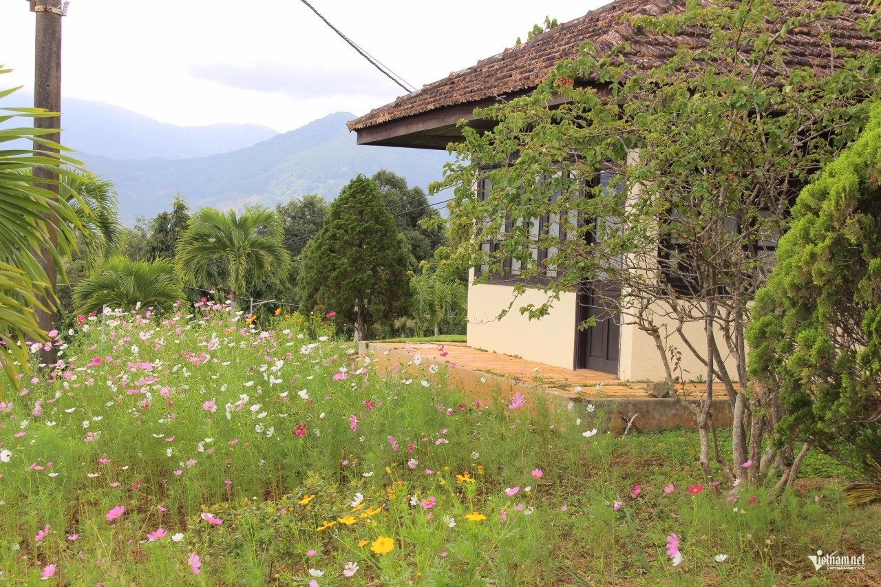 Nơi đây rộng rãi, thoáng đãng, có nhiều cây xanh. Ảnh: Hà Nguyễn