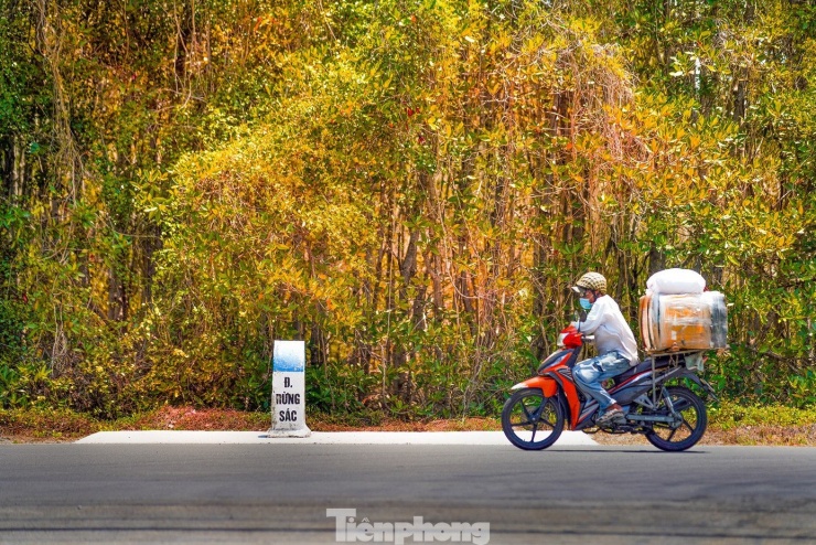 Nhiều chính sách ưu đãi để hỗ trợ người dân Cần Giờ, đặc khu Côn Đảo chuyển đổi sang xe điện. Ảnh minh họa: Phạm Nguyễn