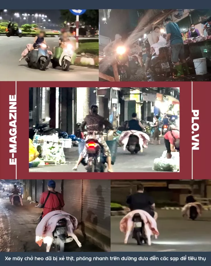 Ớn lạnh lò mổ heo '4 không' - Bài 1: Công an đột kích các lò mổ heo lậu giữa đêm - 4