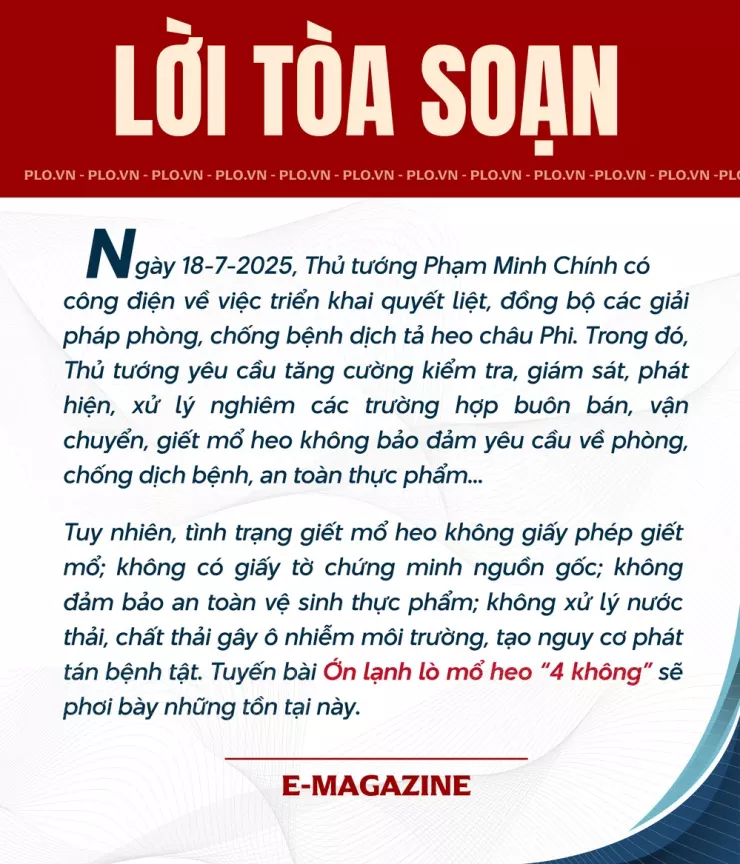 Ớn lạnh lò mổ heo '4 không' - Bài 1: Công an đột kích các lò mổ heo lậu giữa đêm - 1