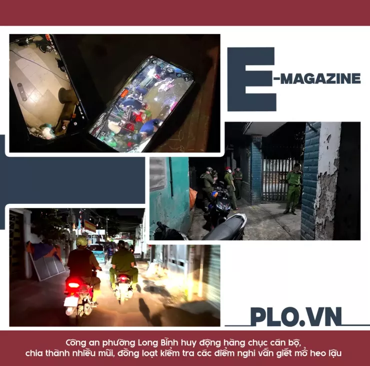 Ớn lạnh lò mổ heo '4 không' - Bài 1: Công an đột kích các lò mổ heo lậu giữa đêm - 6