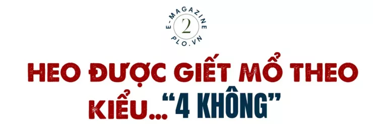 Ớn lạnh lò mổ heo '4 không' - Bài 1: Công an đột kích các lò mổ heo lậu giữa đêm - 11