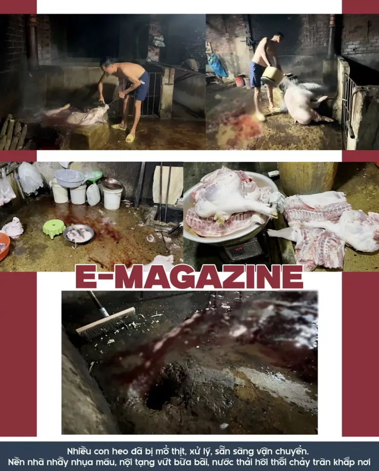Ớn lạnh lò mổ heo '4 không' - Bài 1: Công an đột kích các lò mổ heo lậu giữa đêm - 10