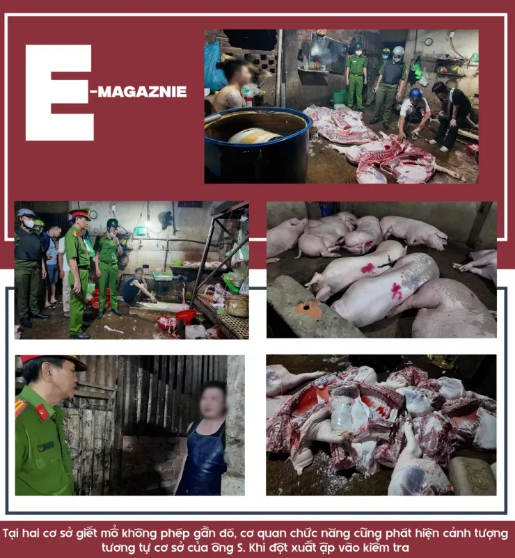 Ớn lạnh lò mổ heo '4 không' - Bài 1: Công an đột kích các lò mổ heo lậu giữa đêm - 12