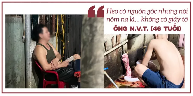 Ớn lạnh lò mổ heo '4 không' - Bài 1: Công an đột kích các lò mổ heo lậu giữa đêm - 17