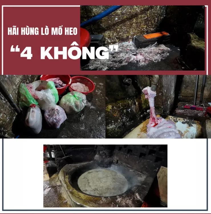 Ớn lạnh lò mổ heo '4 không' - Bài 1: Công an đột kích các lò mổ heo lậu giữa đêm - 13