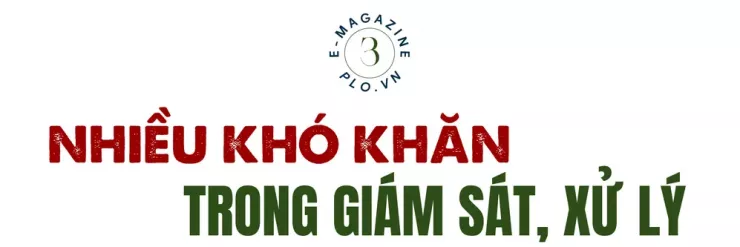 Ớn lạnh lò mổ heo '4 không' - Bài 1: Công an đột kích các lò mổ heo lậu giữa đêm - 19